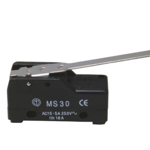 MICROINTERRUPTOR MS30